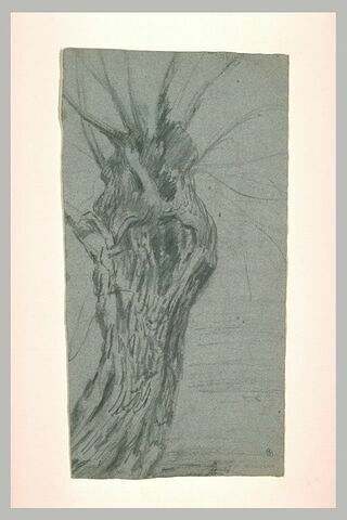 Tronc d'arbre avec quelques branches, image 1/1