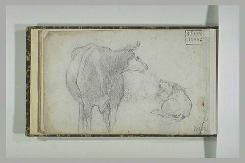 Vache ; cheval couché, image 1/1