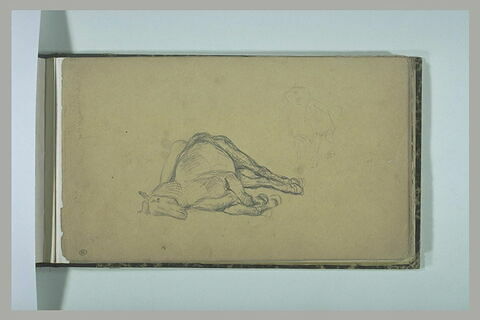 Cheval couché sur le flanc droit ; croquis d'un fauve, image 1/1
