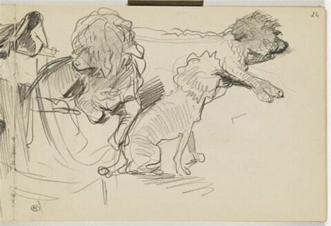 Trois études de caniche et chaise vue de derrière, image 1/4
