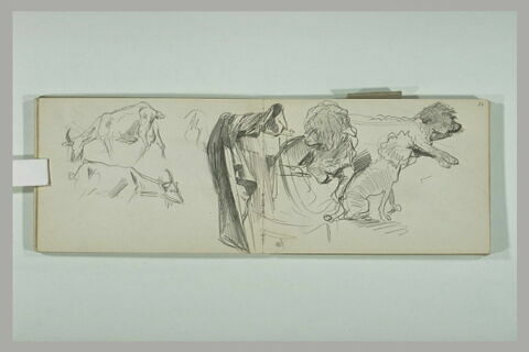 Trois études de caniche et chaise vue de derrière, image 2/4
