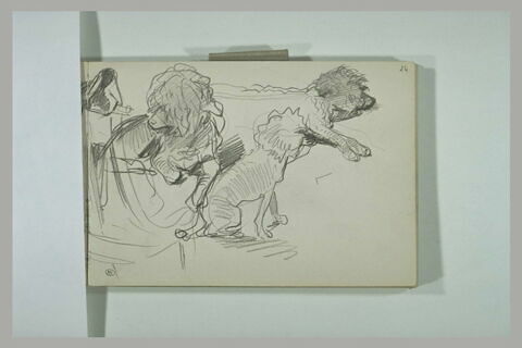 Trois études de caniche et chaise vue de derrière, image 3/4