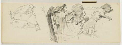 Trois études de caniche et chaise vue de derrière, image 4/4