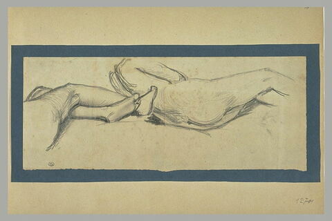 Cuisses et jambes  d'une femme ; corps d'une femme couchée, image 1/1