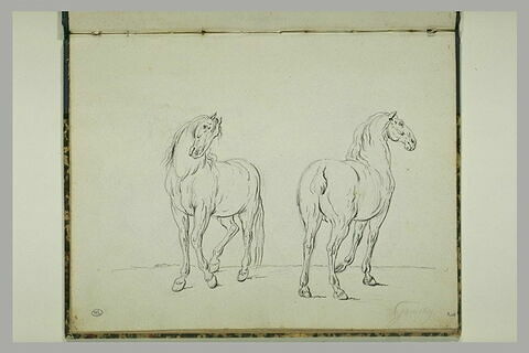 Deux chevaux, image 1/1