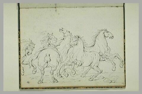 Etude de cinq chevaux, image 1/1