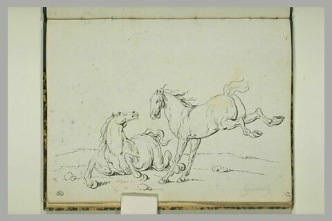 Cheval à terre et cheval ruant, image 1/1