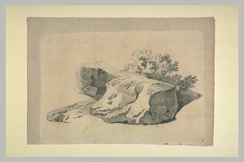 Rochers et un arbuste, image 2/2