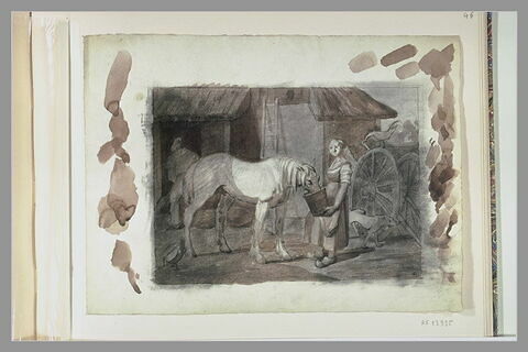 Femme faisant boire un cheval dans un seau, image 1/1