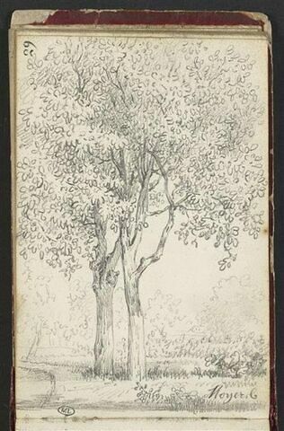 Noyers, image 1/2