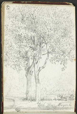 Noyers, image 2/2