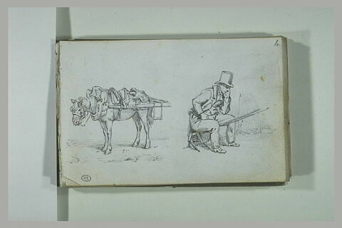 Cheval harnaché ; homme assis, image 2/2