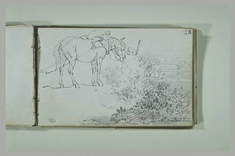 A Montmartre, cheval harnaché devant un paysage, image 2/2