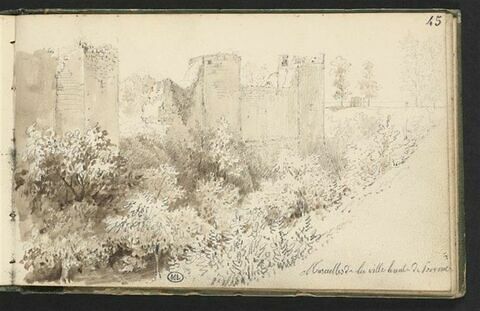 Murailles de la ville haute de Provins