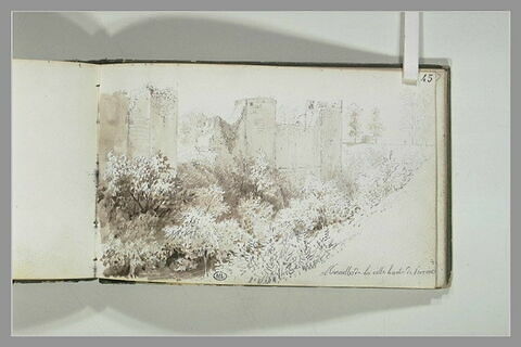 Murailles de la ville haute de Provins, image 2/2