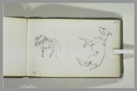 Cheval attelé, chien couché, image 1/1