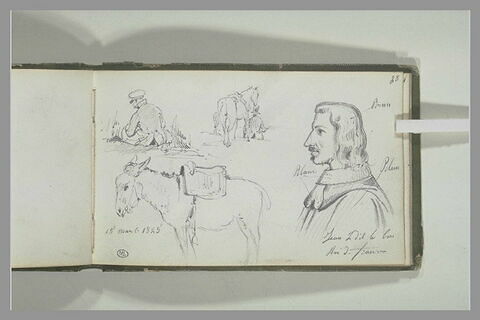 Figures assises, ânes, portrait de Jean le Bon