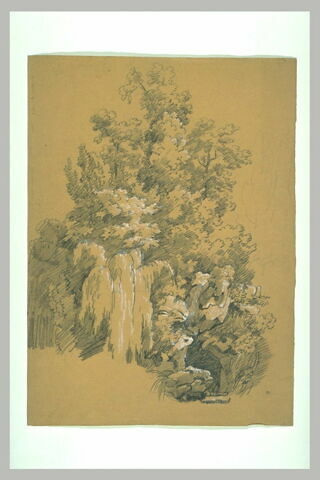 Rochers et arbres, image 1/1