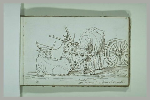 Trois boeufs auprès d'une charrette à la Marmorata en face de Ripa grande, image 1/1