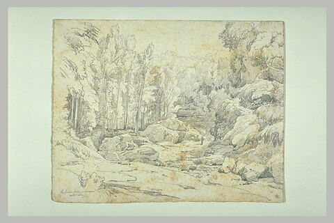 Lit d'un torrent, bordé d'arbres, image 1/1