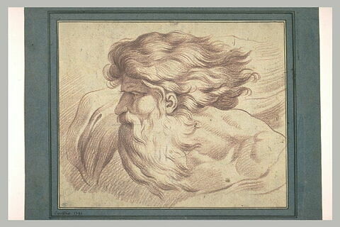 Tête d'homme, cheveux au vent, de profil à gauche, image 1/1