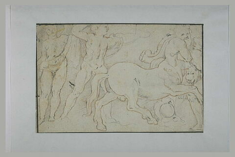 Bataille de centaures et de grecs