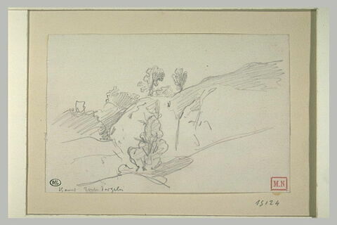 Groupe de colline avec des arbres