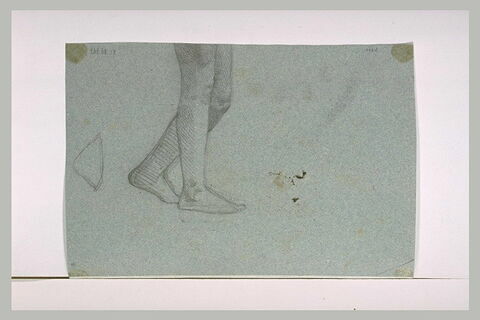 Etude de la partie inférieure de jambes nues, image 2/2
