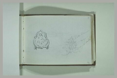Motifs décoratifs en palmettes, image 1/1
