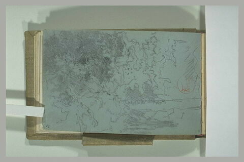 Paysage de forêt prés d'un petit lac, image 1/1
