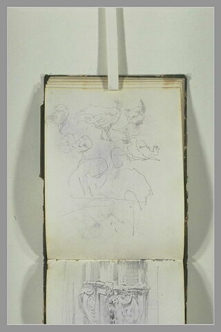 Croquis de poules, image 1/1