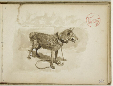 Chien attaché à une corde, image 1/2