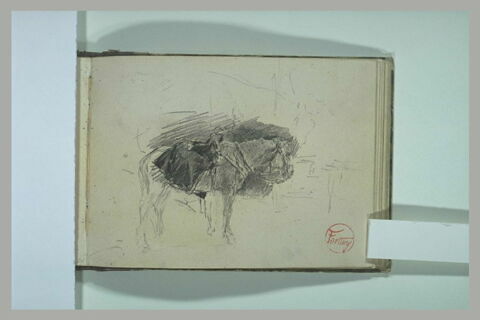 Cheval attelé, image 1/1