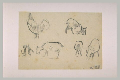 Croquis d'un coq et quatre études de chèvres, plus des pattes, image 2/2