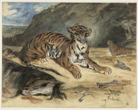 Deux tigres dans leur antre près d'un cheval mort
