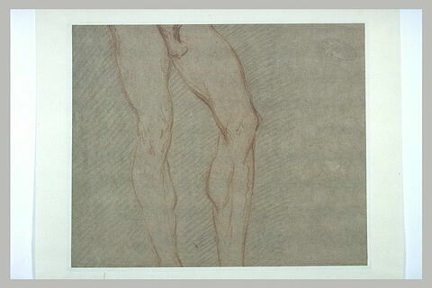 Etude d'un corps d'homme nu, de la taille aux pieds, image 2/2