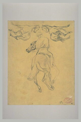 Jockey à cheval, vu de dos, et deux chevaux, image 2/2
