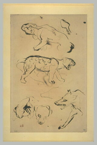 Fauves, image 1/1