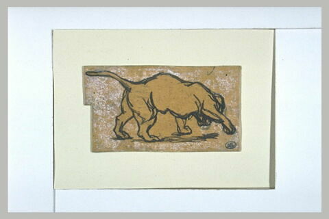 Jeune chien s'amusant, image 1/1