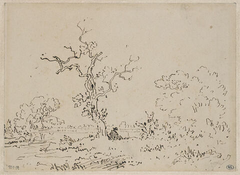 Homme assis sous un arbre, près d'un étang, image 1/3