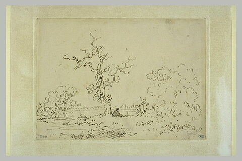Homme assis sous un arbre, près d'un étang, image 2/3