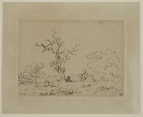 Homme assis sous un arbre, près d'un étang, image 3/3