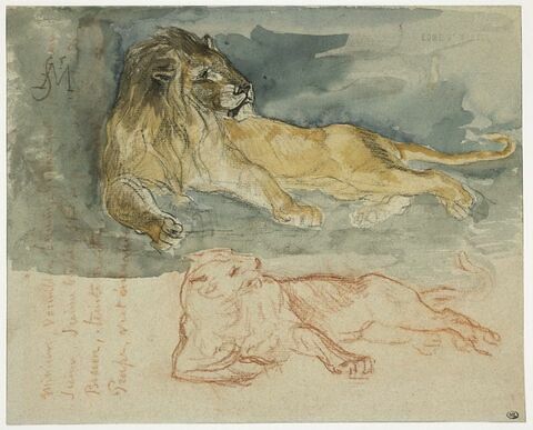 Lion et lionne