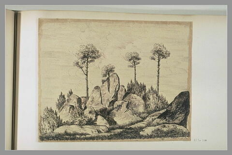 Rochers et quatre pins : 'Rocher d'Avon 1er 9bre 1849'