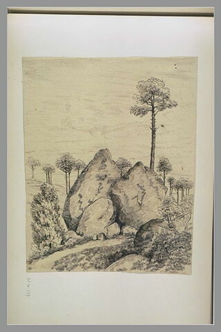 Pins au milieu de rochers : 'Rocher d'Avon 1er 9bre 1849'