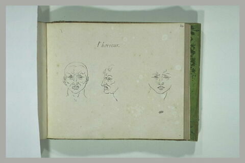 Trois études de tête : l'Horreur, image 2/2