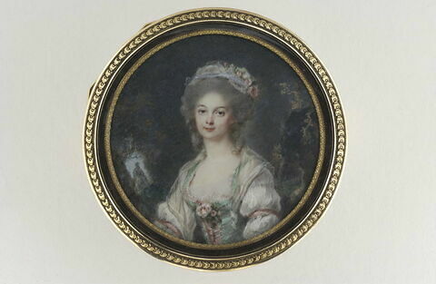 Portrait présumé d'une comtesse de Nicolaï