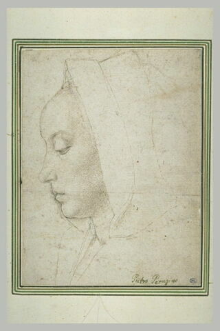Tête de jeune femme, vue de profil vers la gauche, image 2/2