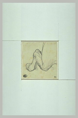 Croquis d'une patte arrière de cheval, pliée, image 1/1