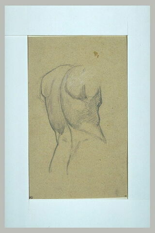 Etude d'un torse d'homme, vu de dos, image 1/1